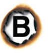 Brandhofer SFX Logo